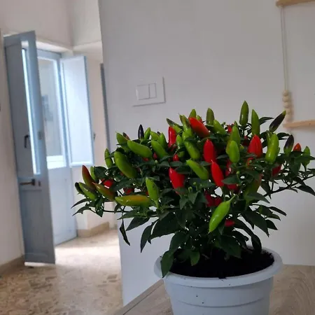 Il Fico D'india Apartamento *